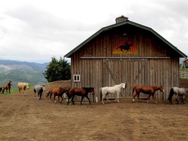 Bull Hill Guest Ranch Hotel Marble Exterior photo